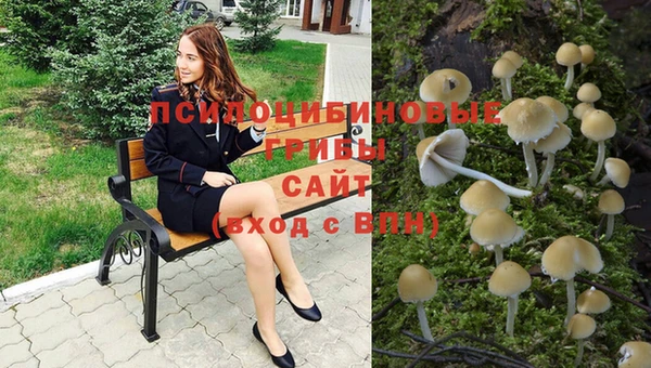 спиды Балахна
