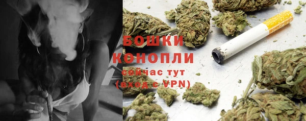 сатива Арсеньев