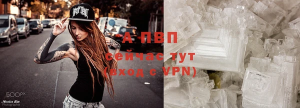сатива Арсеньев