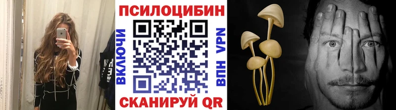 Галлюциногенные грибы Psilocybe Колпашево